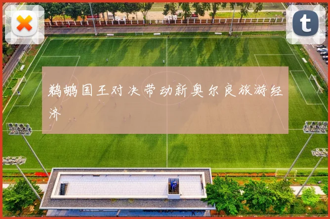 鹈鹕国王对决带动新奥尔良旅游经济