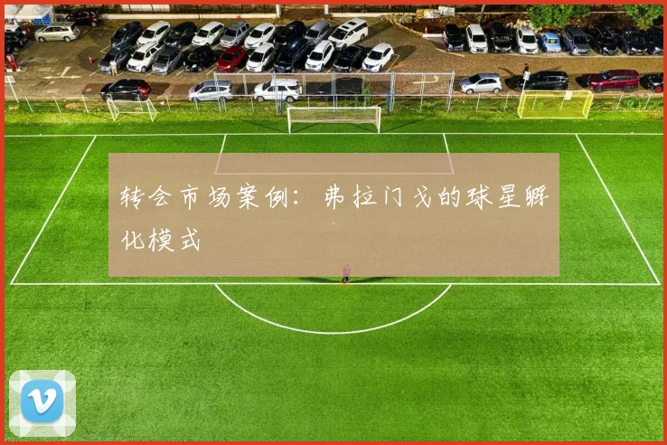 转会市场案例：弗拉门戈的球星孵化模式